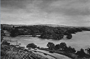 Cootes Paradise BW