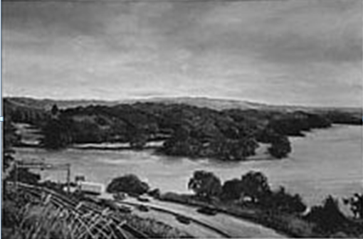 Cootes Paradise - Image 2