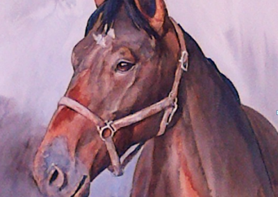 affordable-horse-portrait